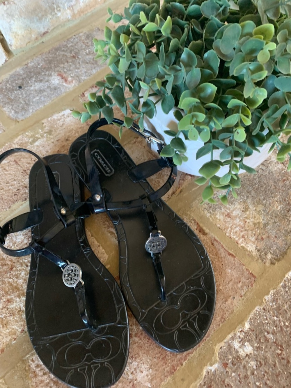 Coach | Black “Jelly” T-Strap Logo Sandals | 7